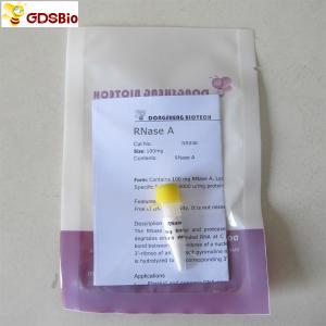 Quality N9046 100 mg In Vitro Diagnostic Products RNase A Powder for sale