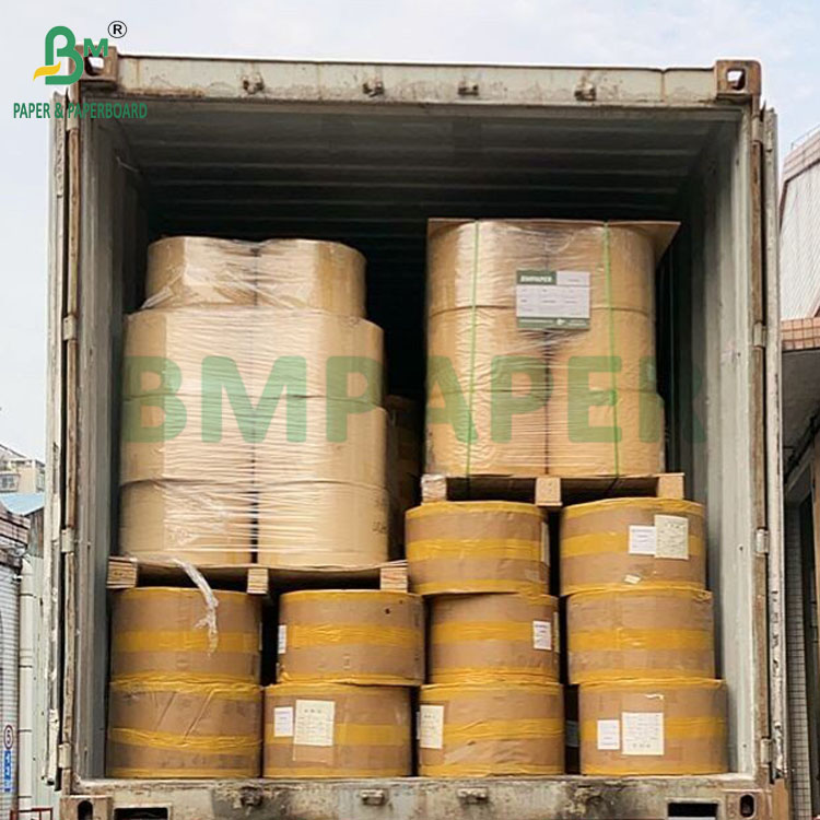 20g Food Grade Toothpick Wrapping Paper Roll Wide 20mm - 1100mm
