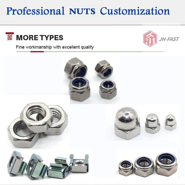 SS304 SS316 Stainless Steel Hex Nylon Lock Nut Brass Material M3 M4 M5 M6 M8 M10 DIN982 DIN985