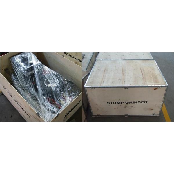 300mm Stump Grinder Teeth With 15HP BS Honda Engine