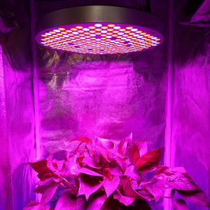 Quality SMD2835 Red Blue 289 Leds Dimmable Plant Growing Lamp for sale