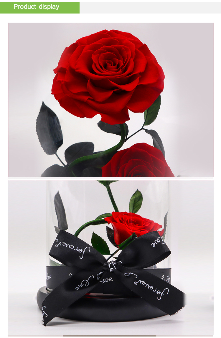 Beauty And The Beast Preserved Rose Glass Dome For Christmas Gift