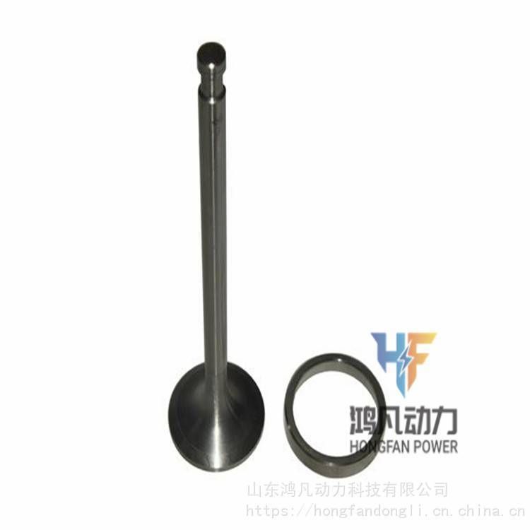 Jichai Chidong 190 Series Engine Parts for Intake Valve and Exhaust Valve 12vb. 03.22