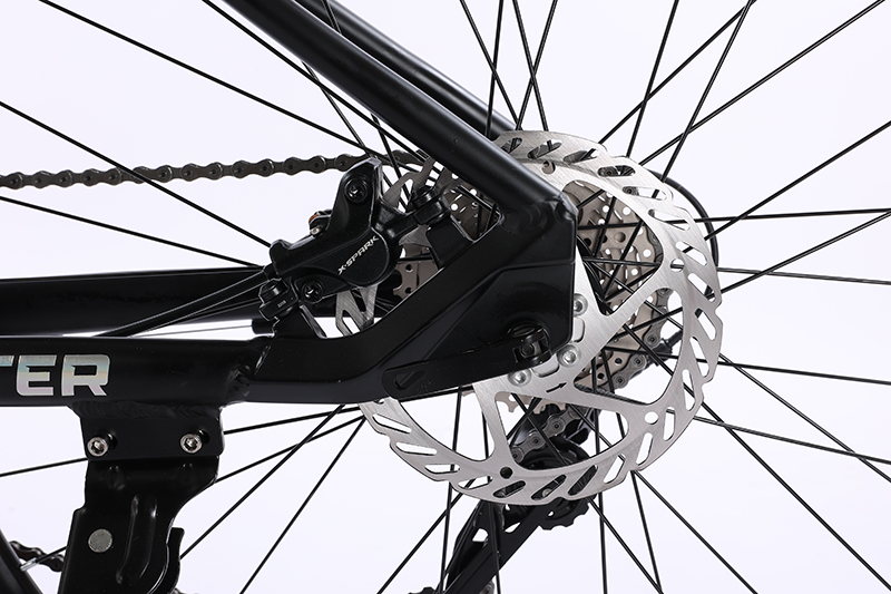 26"/27.5"/29" Spoked Wheel 10 12 Speed OEM Bicicleta Gear Cycle for Man XC MTB Hydraulic Groupset Velo Mountain Bike