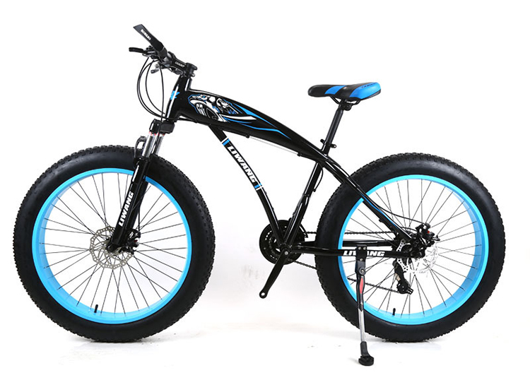Adult Customized Mountain Cruiser Bicycle Fat Tire Mountain Bikes with 4.0 inch Tire Width and carbon steel Fork Material