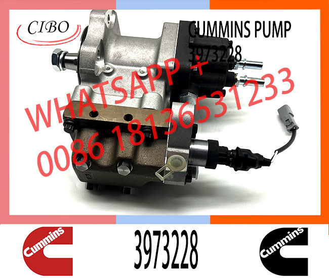 6745-71-1170 6745-71-1010 3973228 4954200 PC300-8 Engine SAA6d114 Qsc Excavator Fuel Pump