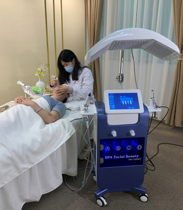 Hot Selling 8 Head Facial Beauty Machines Professional Portable Oxygen Facial Machine