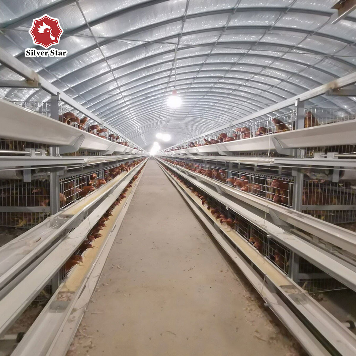 H Type 3 Tiers Chicken Poultry Cage 5 Layers/Cell For Farm