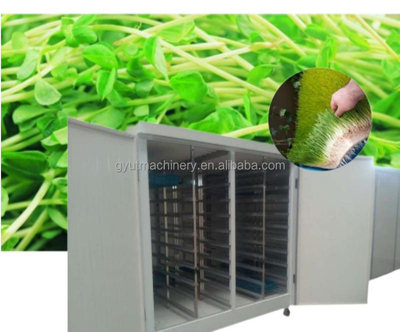 Barley Sprout Machine Room for Hydroponic Fodder System 4600 * 1400 * 1700mm 2024