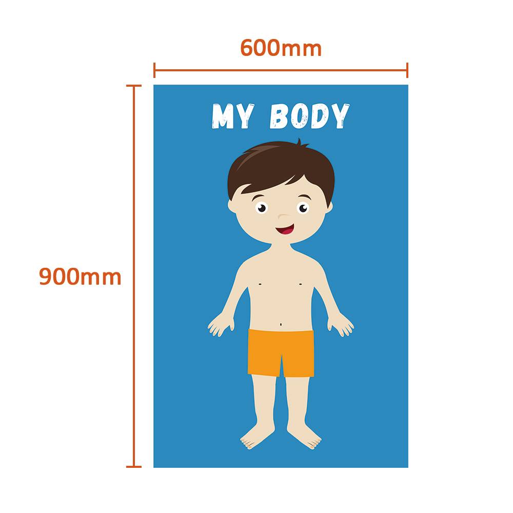 Removable Body Learning Dry Erase Poster