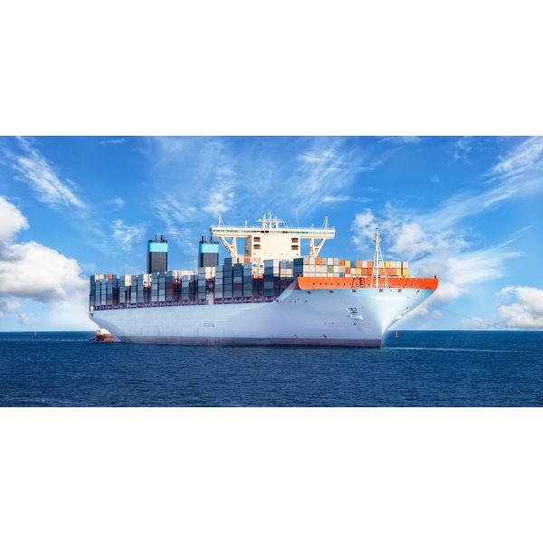 FMC Licensed Freight Forwarder with Global Network Offering Door to Door Logistics Service
