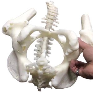 Quality Custom ABS 3D Printing Service – Mass-Production OEM &amp; Rapid Prototyping for sale