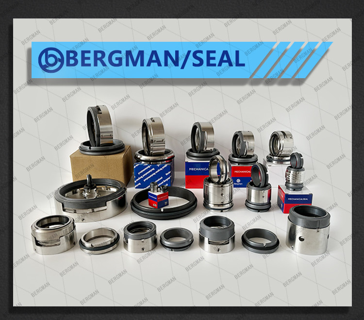 M7N M74 14mm-200mm G60 G4 G6 G9 G13 G16 BS Bo BP Pump Mechanical Seal