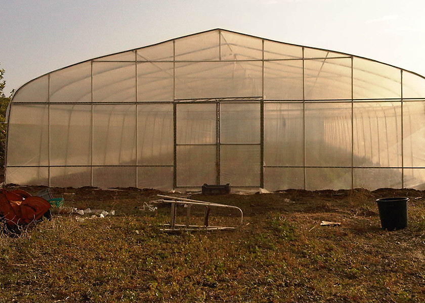 10m Width Heavy Duty Plastic Greenhouse For Outdoor 3-6 Meter Roof Height