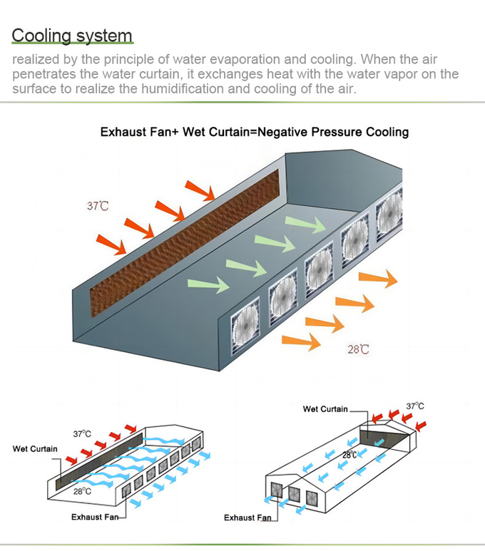 PO/PEP/HDPE Plastic Film Sawtooth Plastic Tunnel Greenhouse