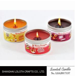Small Exquisite Wax Scented Tin Candles Round Sticker For Travel And Festival