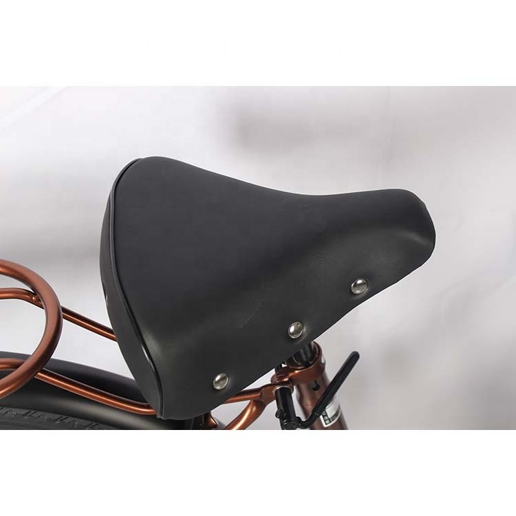 Puncture Resistant Disc Brake Lightweight Platform City Bike 6 Speed For 160-180cm Riders