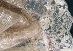 Champagne Gorgeous Flowers Sequin Lace Fabric With Dot Scalloped For Party Gown