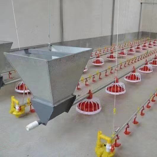 Best Price Automatic Poultry Farm Broiler Feeding Line Chicken Feeding and Drinking Pan