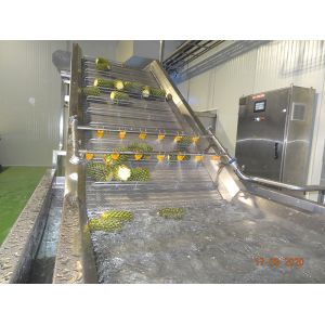 High Performance Complete Pineapple Processing Line Customized Pineapple