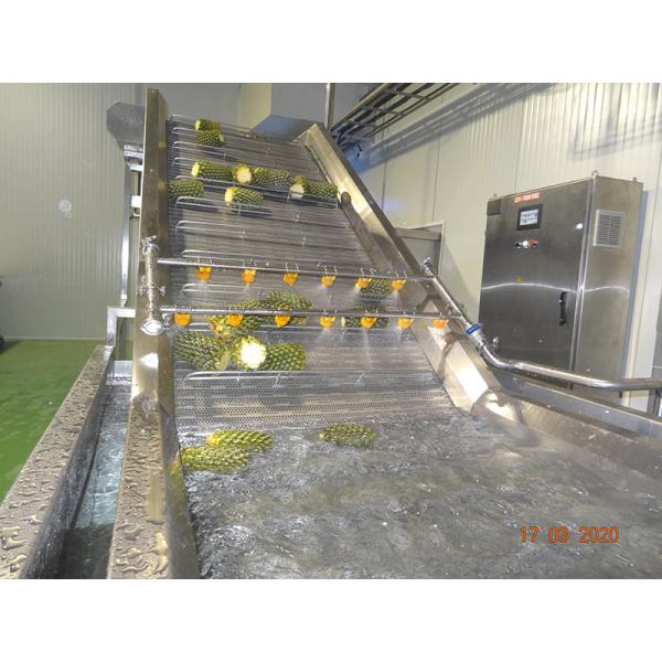 High Performance Complete Pineapple Processing Line Customized Pineapple