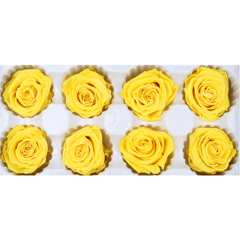 Decorative Preserved Flower Heads , Beautiful Rose Flower Heads Multiple Color