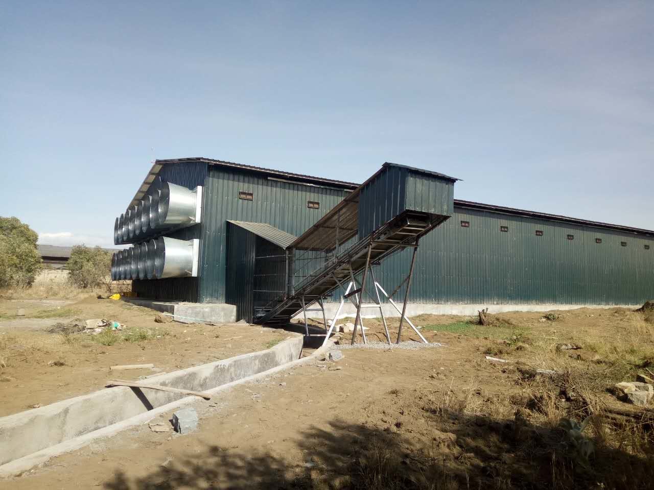 120 Birds Chicken Farm Poultry Cage With Egg Collecting System