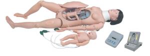 Quality CPR Manikins Obstetric Birthing Maternal & Neonatal Delivery Emergency Simulator for sale