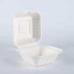 Disposable Biodegradable Bagasse fast food takeaway dinnerware container