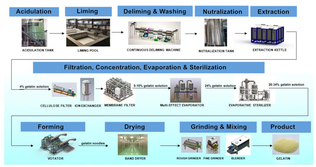 Dependable Gelatin Production Equipment with After-sales Support from OEM Manufacture