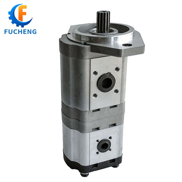 Standard 20cc 20cc Aluminum Hydraulic Gear Pump Double Pump for Machinery from Fucheng