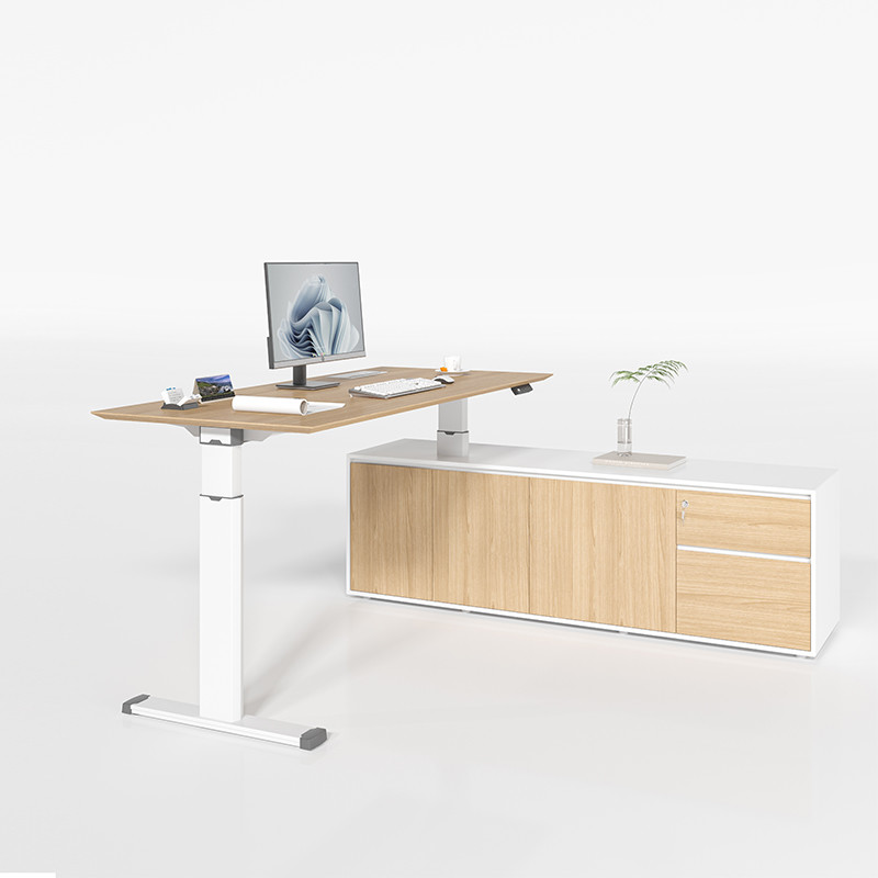 Electric Office Desk Dual Motor Stand Desk Up Height Adjustable Table