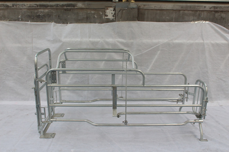 Easy To Clean Pig Farrowing Crate Ensures Warm / Draught - Free Enviroment