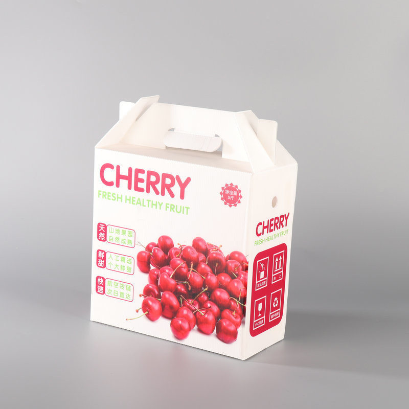 Eco White Plastic Turnover Box PP Hollow Plastic Corrugated Box Fruit Gift Moving Carton