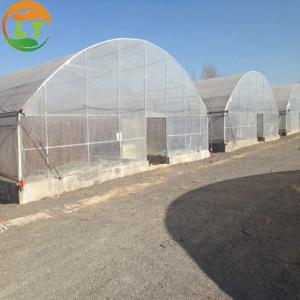 Quality High Output Attractive Single Span Greenhouse With Stable Structure for sale