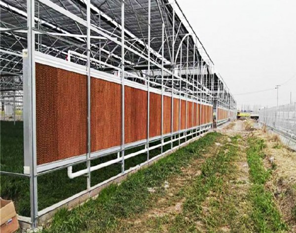 Qingzhou Factory's New Electric Honeycomb Evaporative Cooling Pad for Bee Farm Greenhouse Poultry Farm-Made from Paper