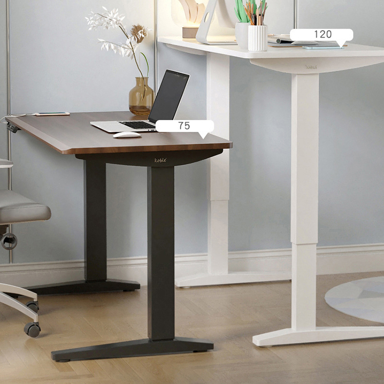 Wooden Grain Sit Standing Electric Table for Learning Adjustable Height Double Motor