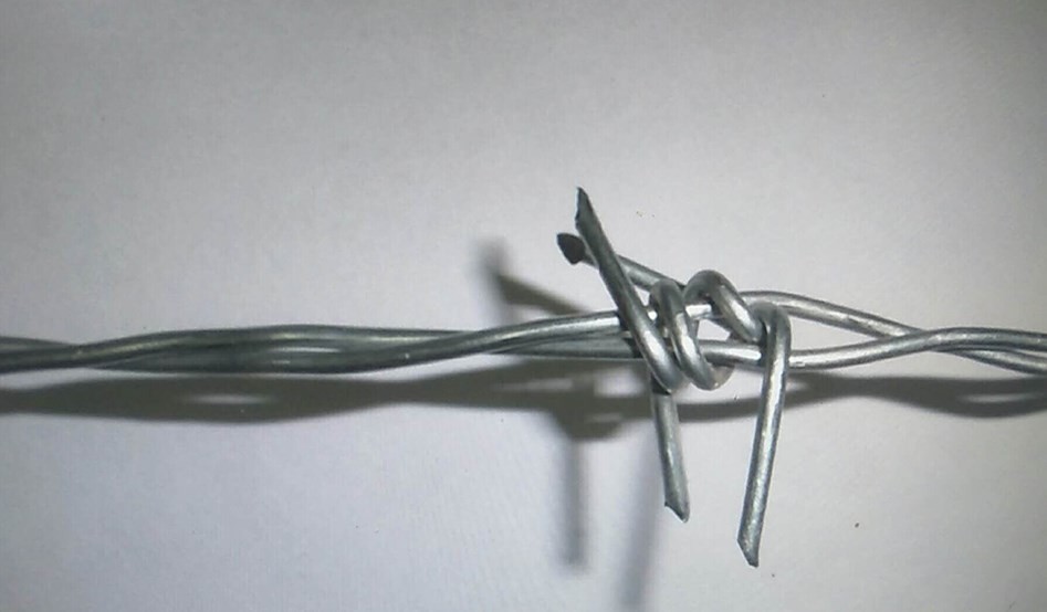 Double Twist Barbed Wire 10 Gauge Traditional Double Strands Barbed Wire Grassland Barrier
