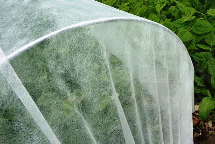 Degradable Agriculture Non Woven Fabric 20gsm - 100gsm For Root Bags