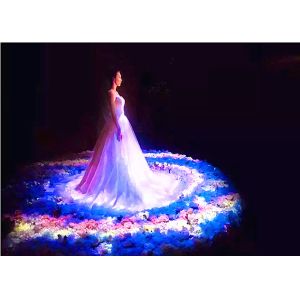 China Custom Interactive Hologram Display , 3D Hologram Screen For Advertising on sale
