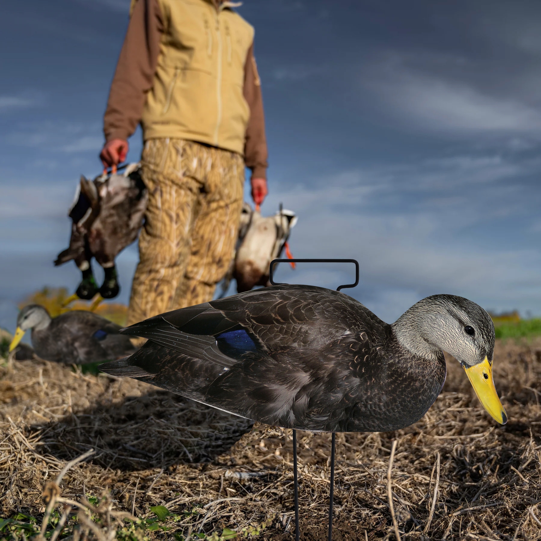 Waterproof Plastic Black Duck Silhouette Decoys for Hunting Custom Multiple Style
