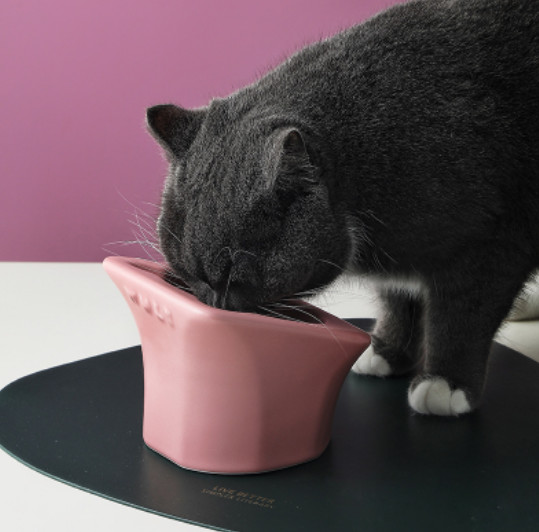 Elevated Food Water Slow Feeder Bowls Ceramic Raised Tilted