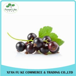 Quality 100% Natural Black Currant Fruit Powder for sale