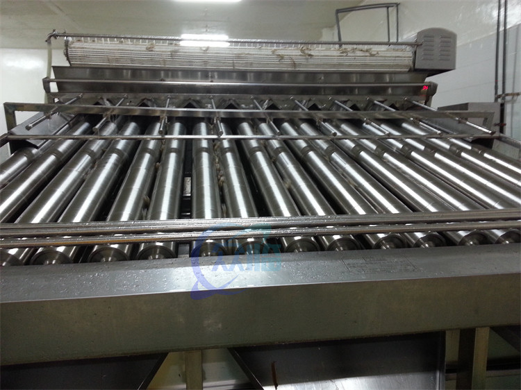 4900W Shrimp Grading Machine Roller Control Anti Erosion Automatic