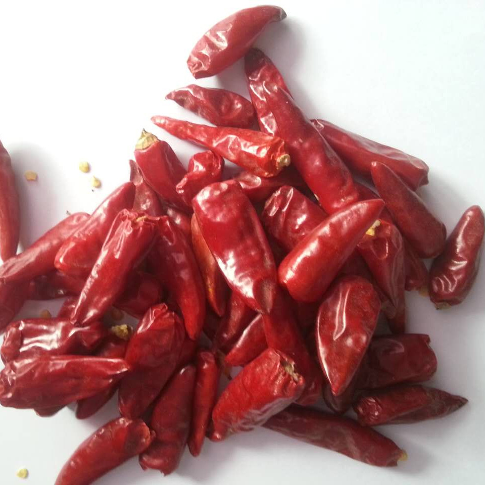 Chaotian Dried Red Chilli Peppers 1% Yellowish Pungent Whole Dry Chilli
