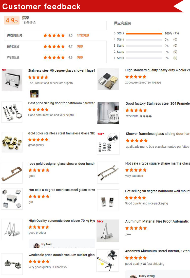 Heavy Duty Door Hinge for Glass to Glass Shower Door Pivot Hinges