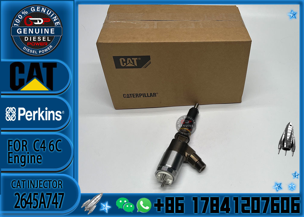 Excavator Common Rail injector 2645A747 Cat C6.6 engine part fuel injector 320-0680 3200680 for CAT 320D