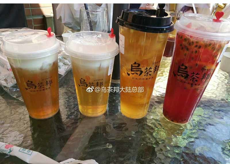 Pp Material Water Disposable Plastic Cups FDA / BSCI Certification