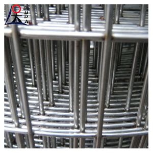 Quality Galvanized Welded Wire Mesh Fence Roll 2x2 Fine Wire Diameter for sale