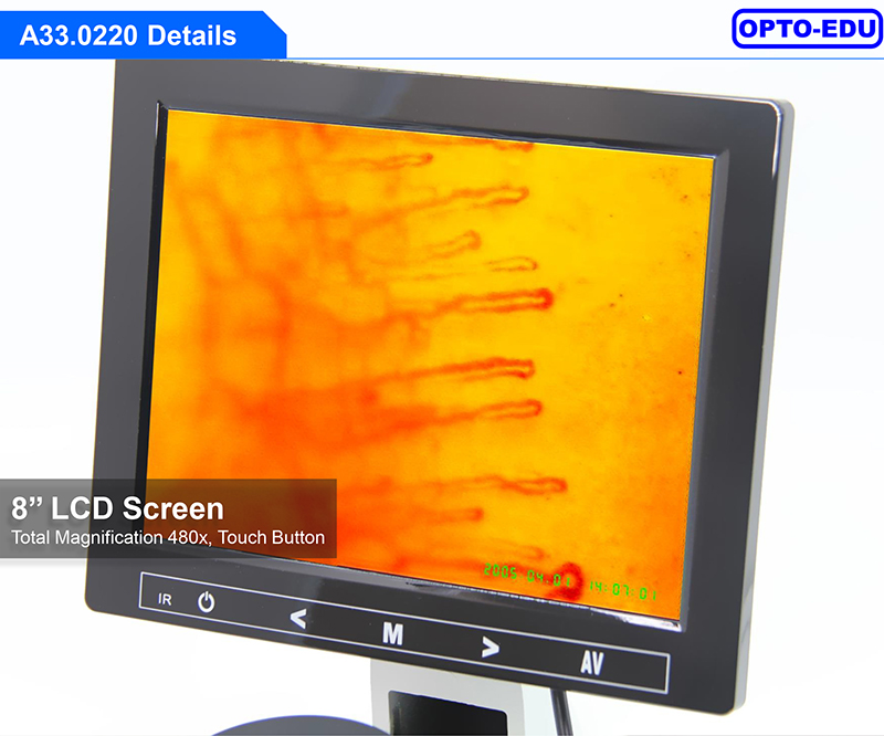 OPTO EDU A33.0220 Microcirculation Microscope 480x Nail Checking With 8" LCD Screen